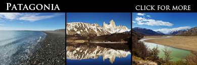 patagonialightbox1